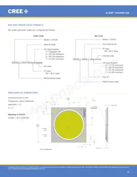 CXA2540-0000-000N00V40E3 Datasheet Page 14
