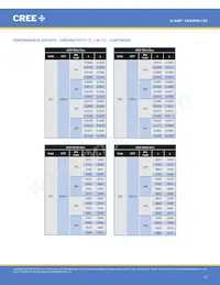 CXA3050-0000-000N0HY240H Datasheet Page 12