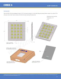 CXA3050-0000-000N0HY240H Datasheet Pagina 17