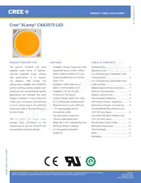 CXA3070-0000-000N0YY230G Datasheet Cover