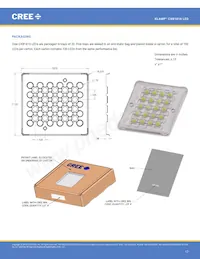 CXB1816-0000-000N0UQ240H Datasheet Page 17