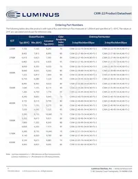CXM-22-30-80-54-AC40-F5-3 Datenblatt Seite 4