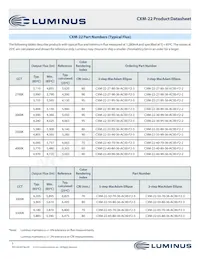 CXM-22-30-95-36-AC00-F2-2 Datasheet Page 5