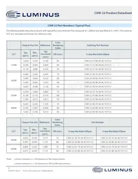 CXM-22-65-80-36-AC10-F3-3 Datasheet Pagina 5