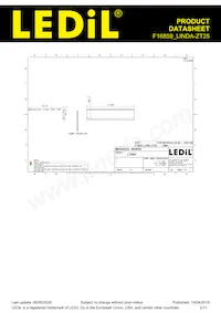 F16859_LINDA-ZT25 Datasheet Page 2