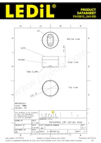 FA10613_LM1-RS Datenblatt Seite 2