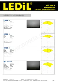 FN15180_STRADA-2X2S-T3 Datasheet Pagina 3