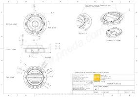 FN15993_RONDA-O Datenblatt Seite 2