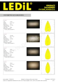 FN15998_RONDA-O-C Datasheet Pagina 3