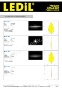 FN16214_LEIA-S Datasheet Pagina 12