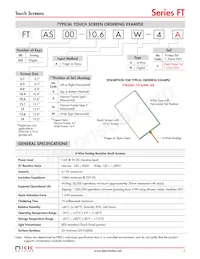 FTAS00-12.1AN-4A Datasheet Page 3