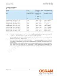 GW KAGHB1.EM-RTSP-65H3 Datasheet Page 2