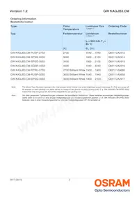 GW KAGJB3.CM-SPSQ-40S3 Datasheet Page 2