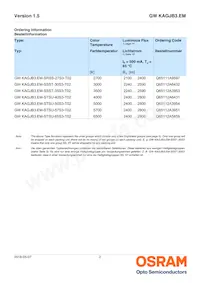 GW KAGJB3.EM-SSST-40S3-T02-M數據表 頁面 2