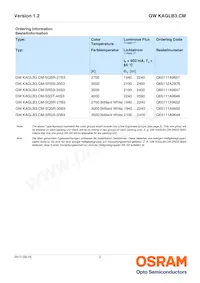 GW KAGLB3.CM-SRSS-30S3-T02數據表 頁面 2