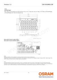 GW KAGMB3.CM-SRSS-27S3 Datasheet Page 13