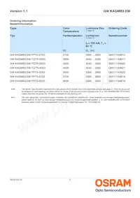 GW KAGMB3.EM-TRTS-65S3-T02 Datasheet Pagina 2