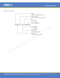 LMR040-0700-40F8-20100EW Datasheet Page 5