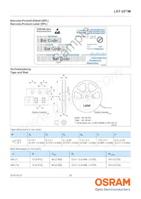 LRT GFTM-ST7-1+VV9-29-0-A-R33-ZC Datasheet Page 20