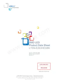 LTSN-E263HEGBK Datenblatt Cover