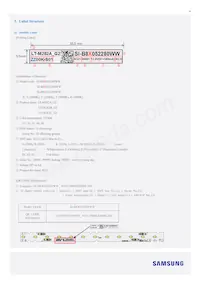 SI-B8R052280WW Datasheet Pagina 13