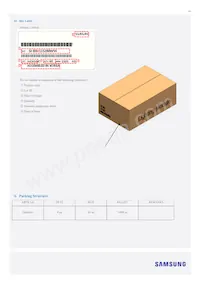 SI-B8V115280WW Datasheet Pagina 10