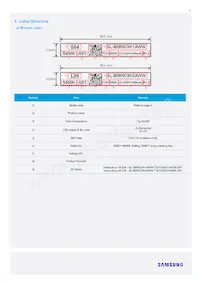 SL-B8R5C9H1AWW Datasheet Page 9