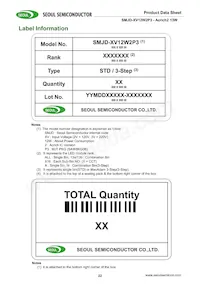 SMJD-2V12W2P3-HA Datasheet Page 22