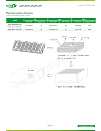 SMJD-3622120B-XXN100E26G038ALL Datasheet Page 12