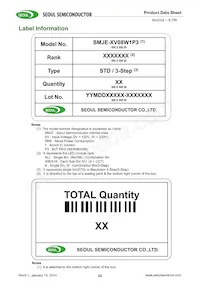 SMJE-2V08W1P3-8B-GA數據表 頁面 22