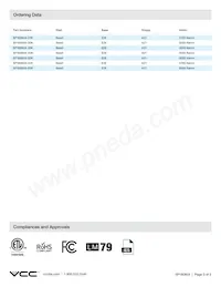 SP160604-65K Datasheet Pagina 3