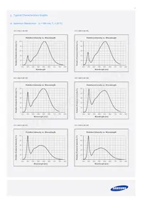 SPHCW1HDNA25YHR31F Datasheet Page 13