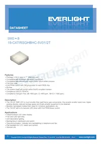 19-C47/RSGHBHC-5V01/2T Datasheet Cover