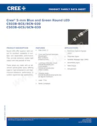 C503B-BCS-CW0Y0451-030 Datenblatt Cover