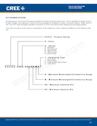 C512A-WNS-CA0C0151 Datasheet Page 12