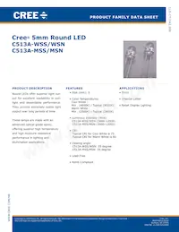 C513A-WSS-CW0Z0231 Datenblatt Cover