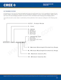 C535A-WJN-CU0V0231 Datasheet Pagina 12