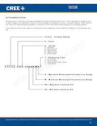 C543A-WMN-CCCKK141 Datasheet Page 11