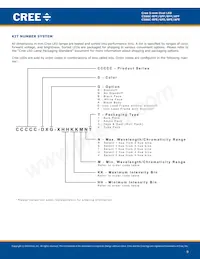 C566C-RFF-CT0W0BB2 Datenblatt Seite 9