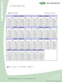 C9WT728S Datasheet Page 10