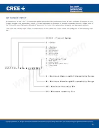 CP41A-RHS-CN0P0JJ4 Datasheet Page 9