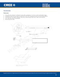 CP41A-RHS-CN0P0JJ4 Datasheet Page 11