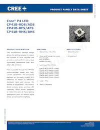 CP41B-AHS-CN0Q0454數據表 封面