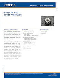 CP41B-WGS-CN0P0134 Datasheet Cover