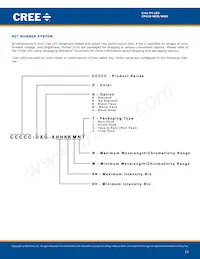 CP41B-WGS-CN0P0134數據表 頁面 12