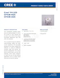 CP43B-RGS-CX0Y0AA4 Datenblatt Cover