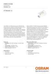 CT DELSS1.12-AABA-36-44G4 Datasheet Copertura