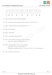 FY1101C-M-TR Datenblatt Seite 12