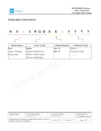 HV-5RGB25 Datasheet Pagina 3