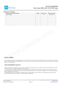 IN-S121DAS5R5B Datasheet Page 12